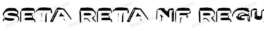 Seta Reta NF Regular字体转换